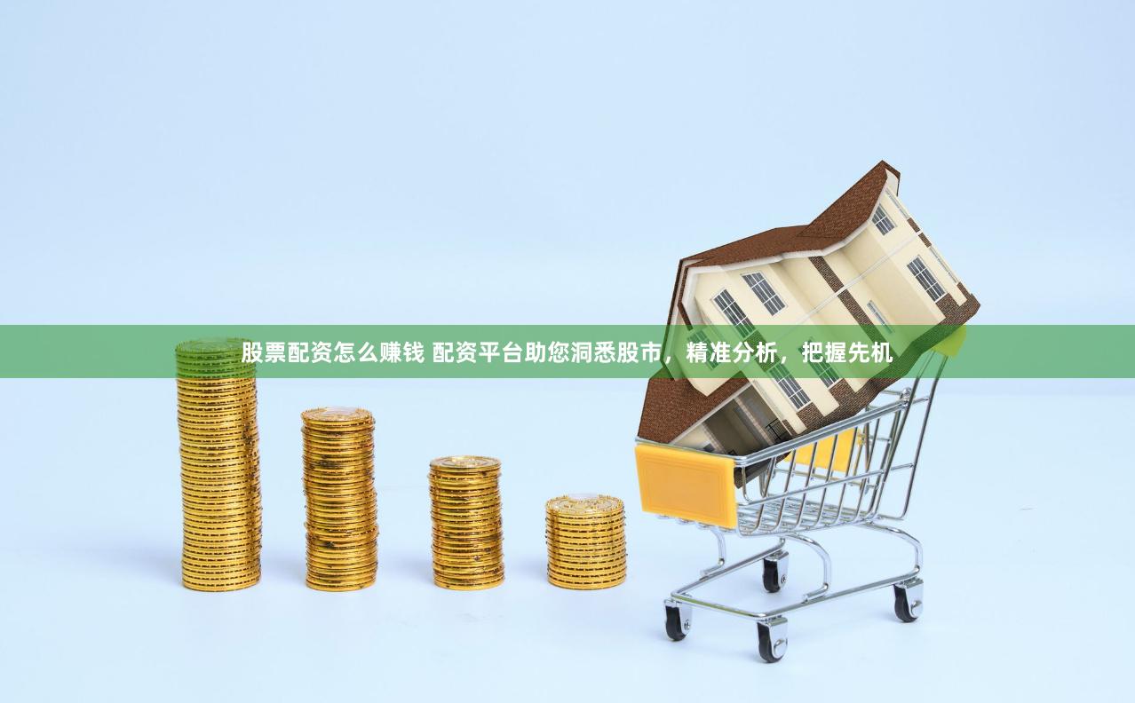 股票配资怎么赚钱 配资平台助您洞悉股市，精准分析，把握先机