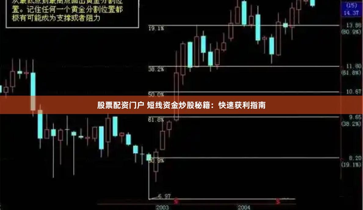 股票配资门户 短线资金炒股秘籍：快速获利指南