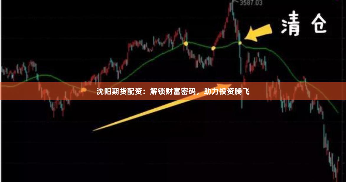 沈阳期货配资：解锁财富密码，助力投资腾飞