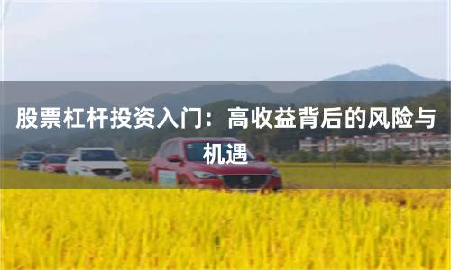 股票杠杆投资入门：高收益背后的风险与机遇